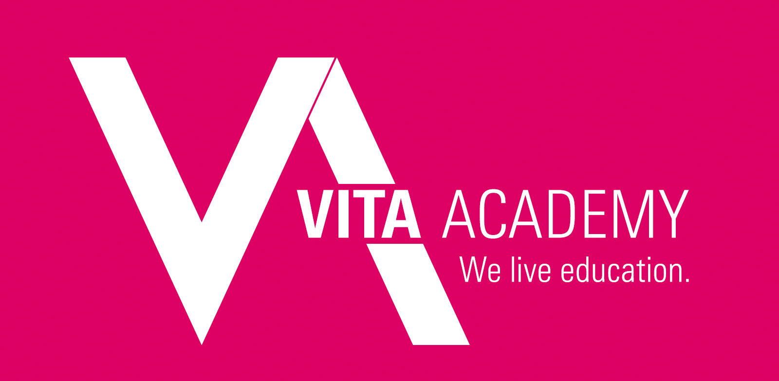 VITA ACADEMY