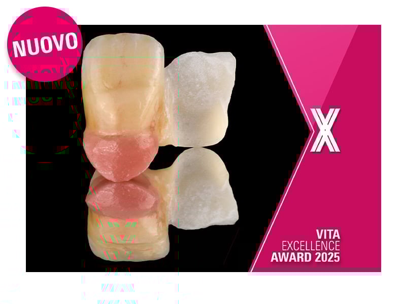 VITA EXCELLENCE AWARD 2025