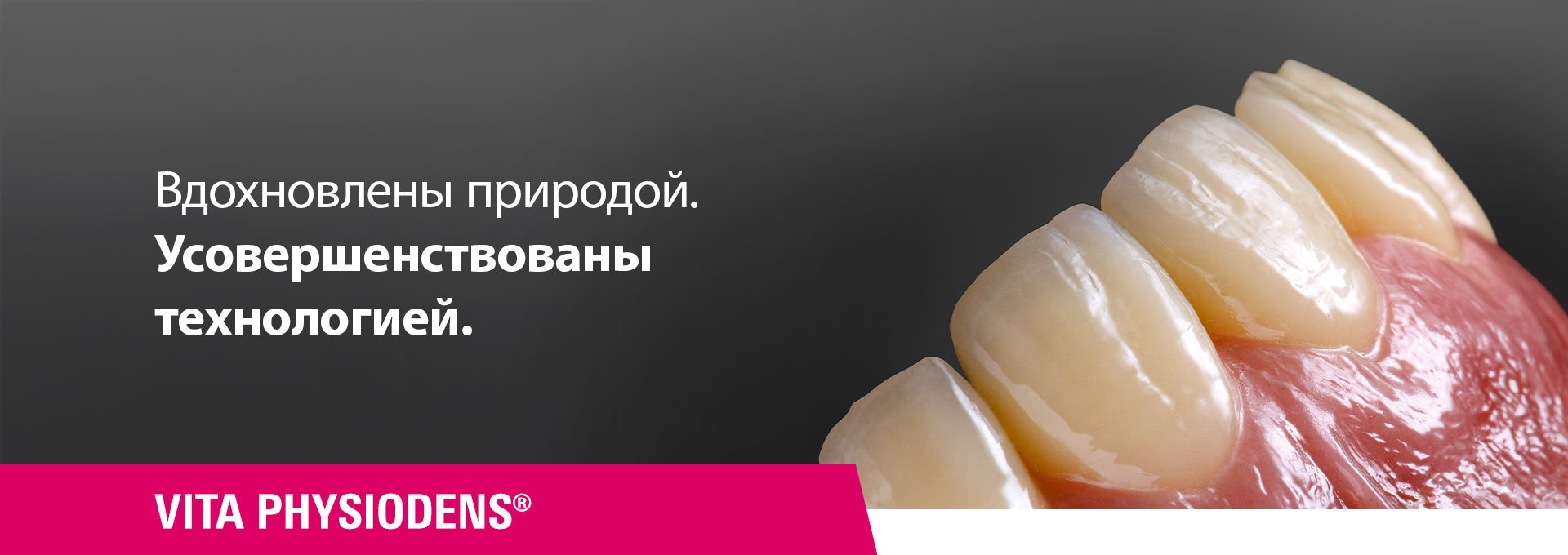 VITA PHYSIODENS_Header_1920x680_v4_RU