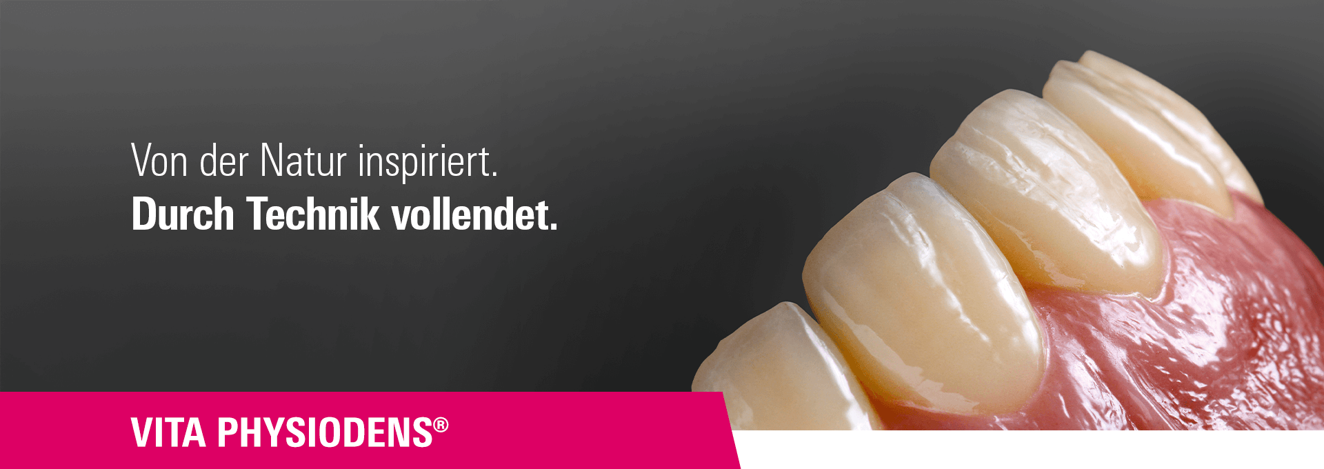 VITA PHYSIODENS - Von der Natur inspiriert. Durch Technik vollendet.