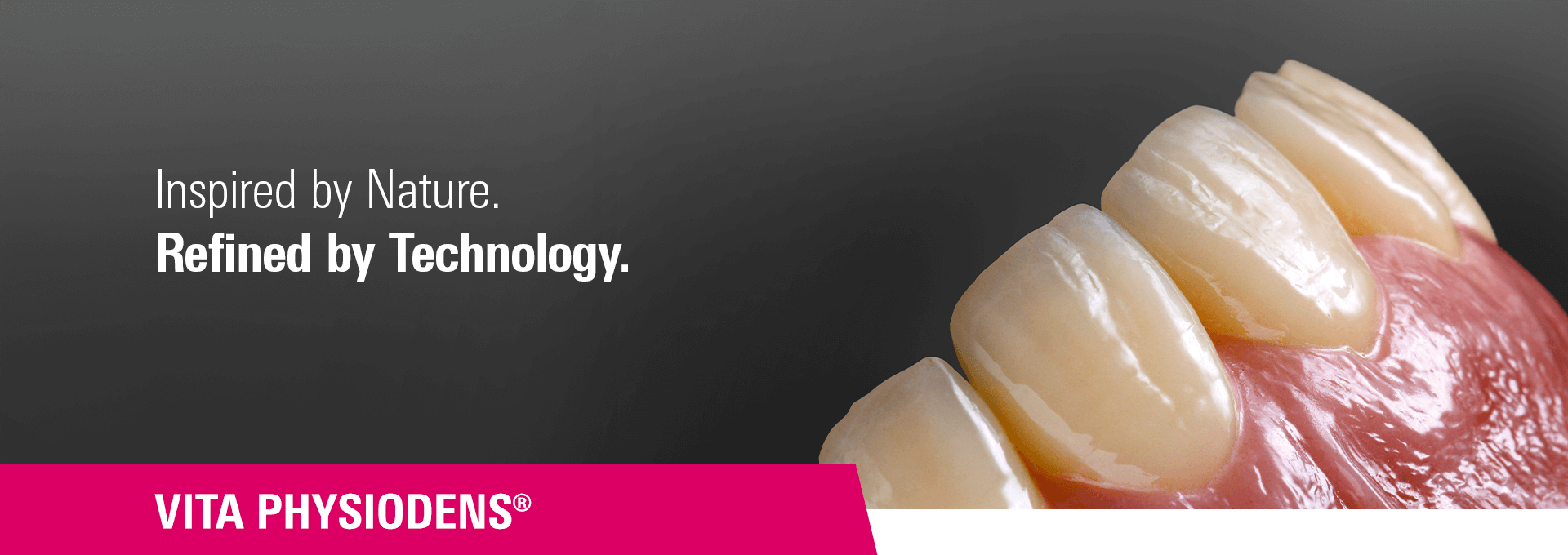 VITA PHYSIODENS - Inspired by Nature. Refined by Technology.