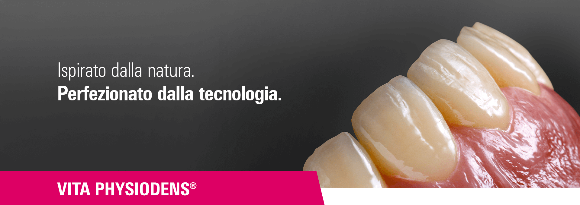 VITA PHYSIODENS. Ispirate alla natura. Completate dalla tecnologia.