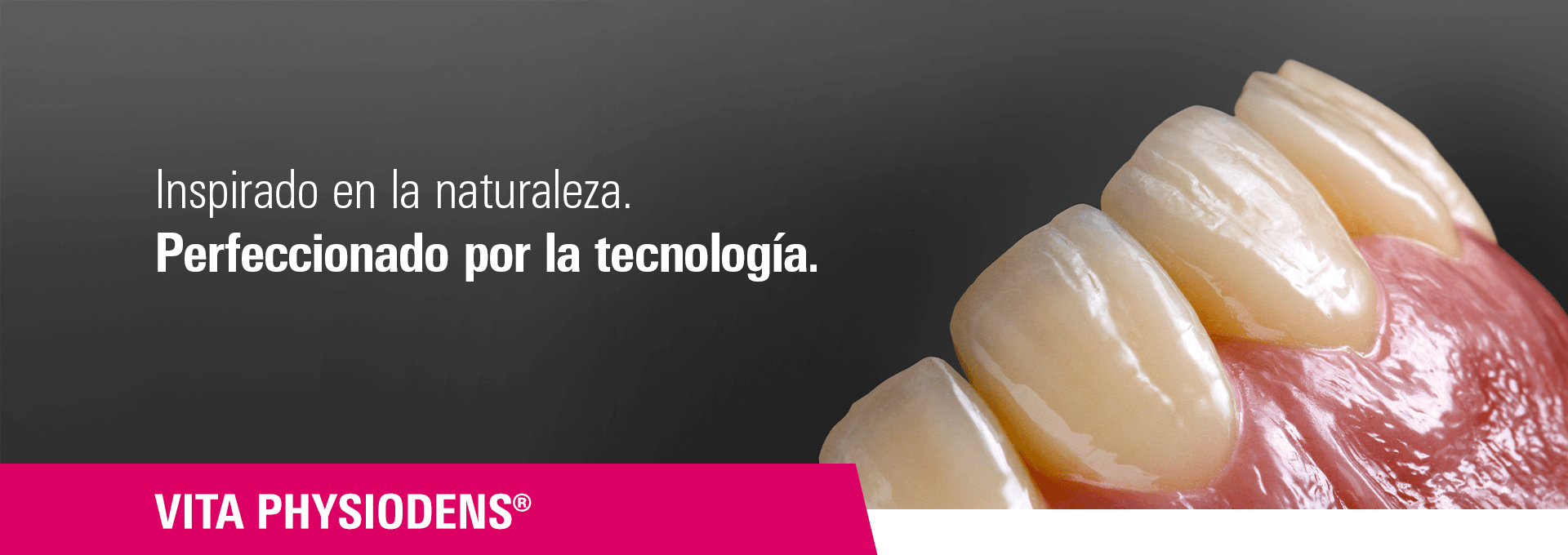 VITA PHYSIODENS. Inspirado en la naturaleza. Perfeccionado por la tecnología.