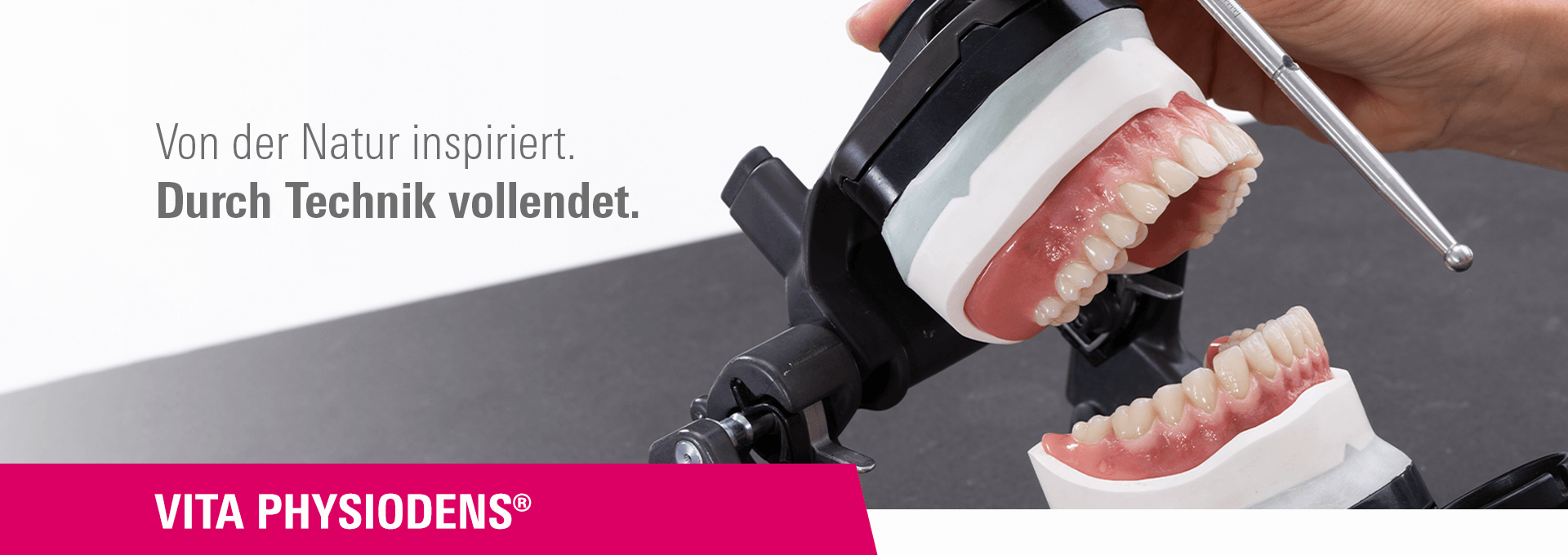 Praxisbeispiele, die überzeugen – VITA PHYSIODENS im Einsatz