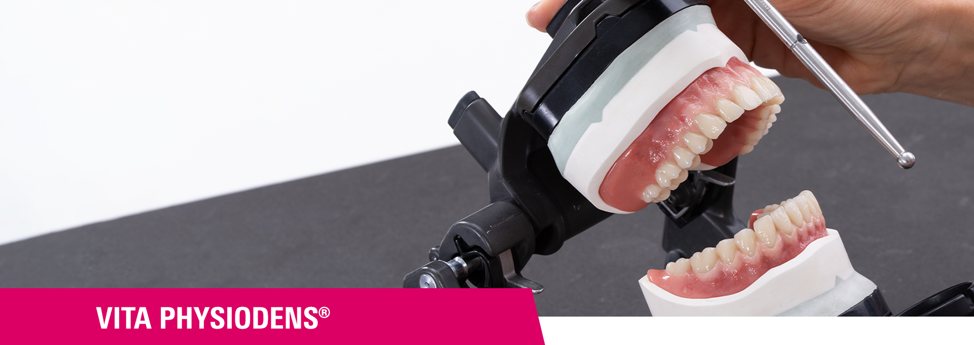 Exemples pratiques convaincants – VITA PHYSIODENS en action