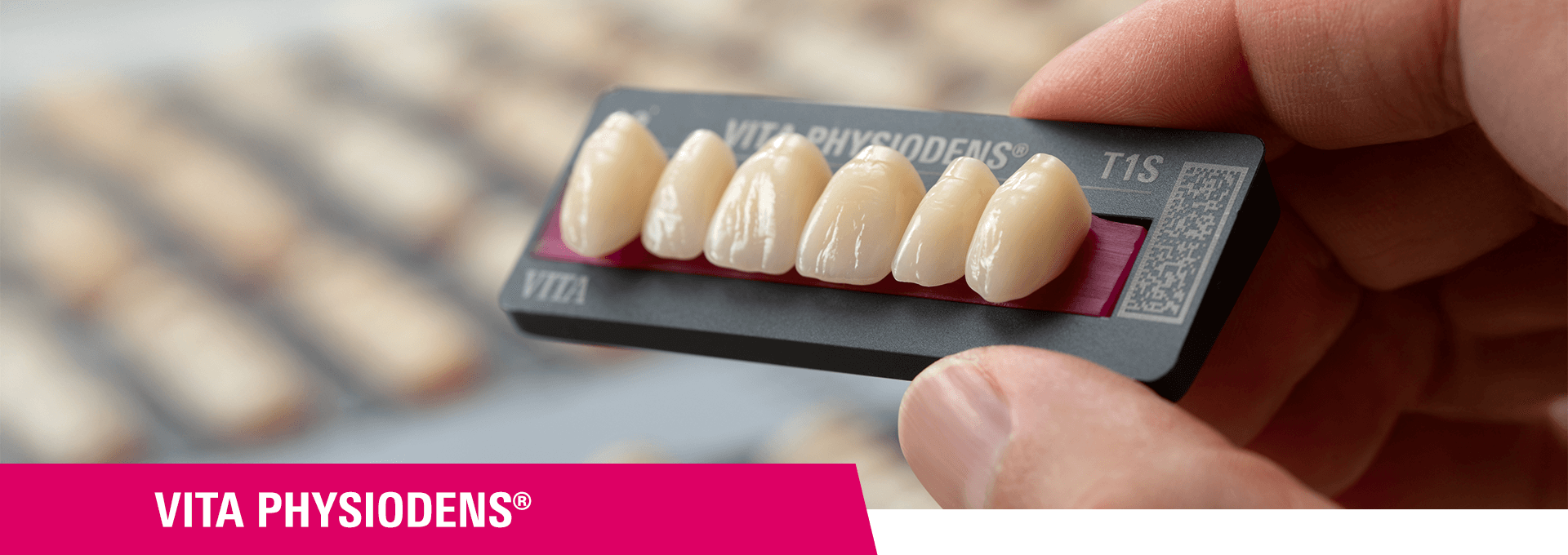 VITA PHYSIODENY. Wissenschaftlich fundiert – Qualität, der Sie vertrauen können