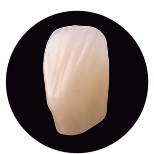 VITA PHYSIODENS. Filigrane Texturakzente