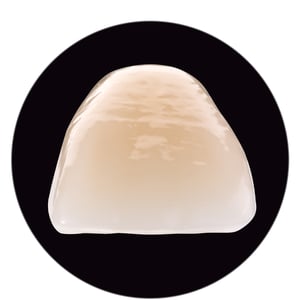 VITA PHYSIODENS. Lebendiges Lichtspiel