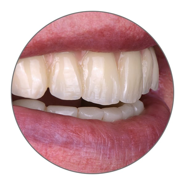 VITA VIONIC SOLUTIONS