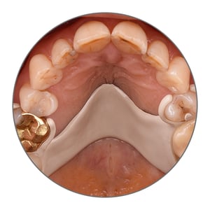 VITA VIONIC SOLUTIONS