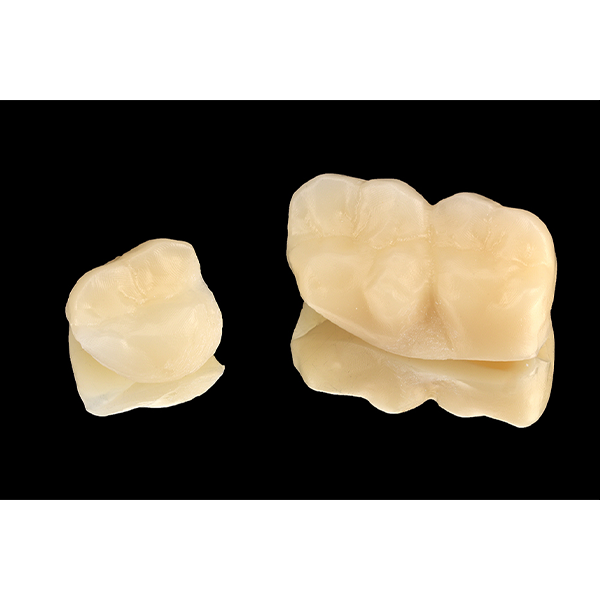 4. Teeth 26 and 27 were produced with the basal parts interlocked.