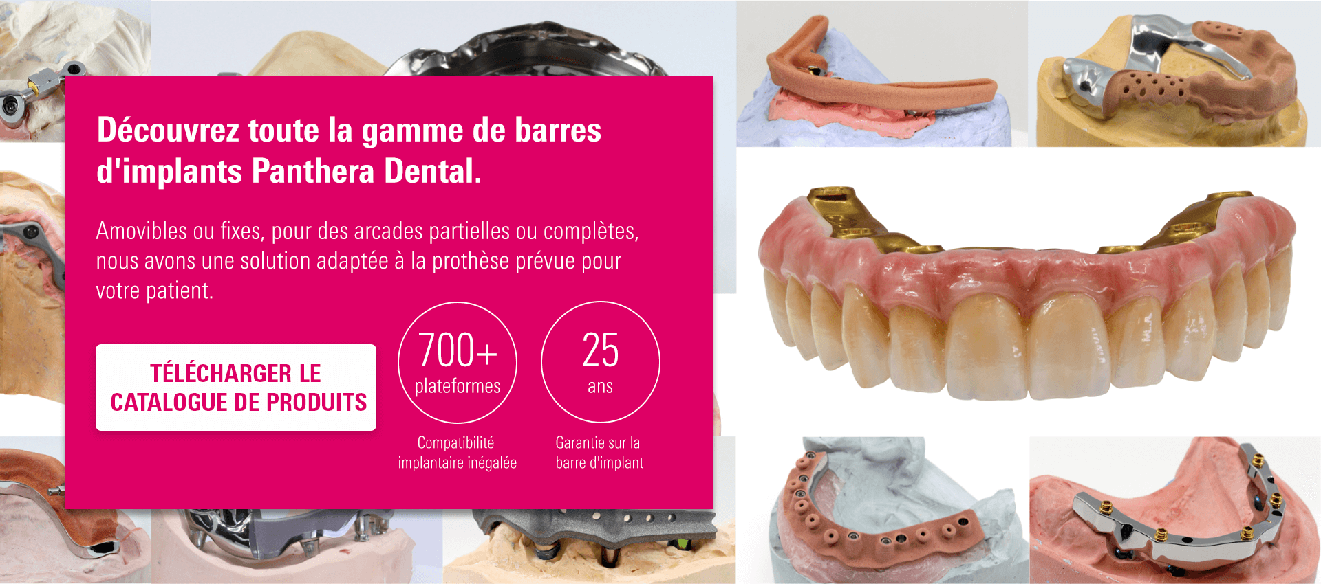 Teaser_Full-range-Panthera-Dental_mobil_1920x850_fr